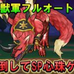 【ドラクエウォーク】神の獣軍をフルオートで倒す！6周年SP心珠が欲しいので楽に倒す工夫をしています。星3バゴス