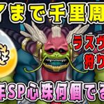 【ドラクエウォーク】ドラクエウォーク色々雑談配信！終了まで千里周回！6周年SP心珠S何個出るか？【DQW】