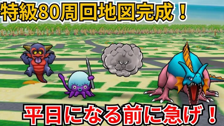 【ドラクエウォーク】特級80周回地図爆誕!平日になる前に急いで回収!
