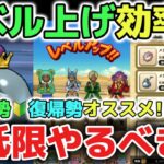 【ドラクエウォーク】新規勢や復帰勢オススメ！効率の良いレベル上げの方法！最低限やるべき事を解説します！【DQウォーク】