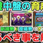 【ドラクエウォーク】新規勢や復帰勢オススメ育成方法🔰序盤や中盤で強くなる為のやるべき事を解説します！ここを目標に進んでみて下さい！【DQウォーク】