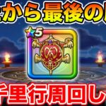 【ドラクエウォーク】ようやくビンゴが終わって最後のおたからガチャ勝負します!! 狙うはウロボロスの盾!!【DQW】