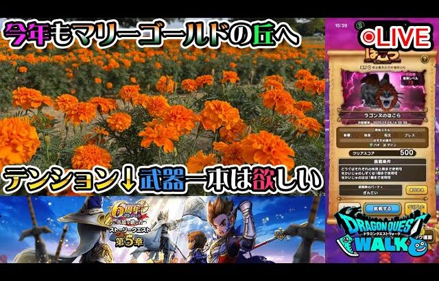 【ドラクエウォークLive】６周年 英雄を継ぐ者 第５章と本庄のマリーゴールドの丘へ【ツイキャス、ニコ生同時配信】