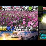 【ドラクエウォークLive】６周年記念イベント 英雄を継ぐ者 エクストラクエスト＆地図アップデートと蓮田付近さんぽ【ツイキャス同時配信】