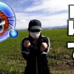 なんてことだ…ラゴンヌS出るまで帰れま10が予想外の展開に…【ドラクエウォーク】【ドラゴンクエストウォーク】