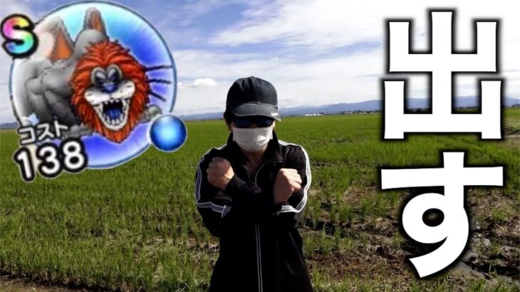 なんてことだ…ラゴンヌS出るまで帰れま10が予想外の展開に…【ドラクエウォーク】【ドラゴンクエストウォーク】