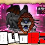 ラゴンヌのSが欲しいのでほこら【ドラクエウォーク】【ぎこちゃん】【DQW】