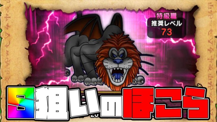 ラゴンヌのSが欲しいのでほこら【ドラクエウォーク】【ぎこちゃん】【DQW】