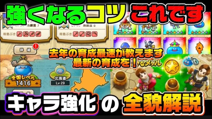 [ドラクエウォーク]強くなる為のコツはコレ‼️キャラ強化の全貌をお話しします！
