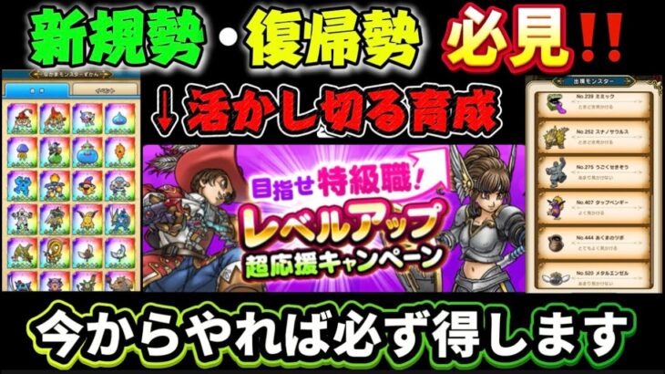 [ドラクエウォーク]今だから出来る効率育成！新規勢・復帰勢の職業ルートの次はコレ！