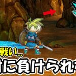 【ドラクエウォーク】絶対負けられない最後の戦い…助けてください・・・