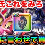 【ドラクエウォーク】みちびきの盾【滅】とかいう神の盾を狙う女の追いガチャになります。