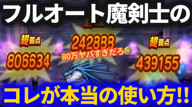 【ドラクエウォーク】セレシアののつえで回復大神官が不要の時代へ！？＆神喰らい魔剣士の本当の使い方！！【フルオート戦法】【雨のほこら】【リザードファッツ】