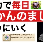 【なかまモンスター】毎日やかん生活1日目【ドラクエウォーク】