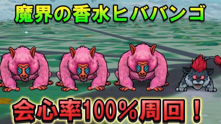 【ドラクエウォーク】会心率100％でヒババンゴ2パン周回