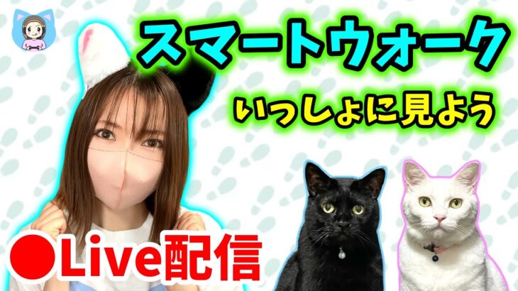 【ドラクエウォーク配信】スマートウォークいっしょに見よう！やはりドラクエ1＆2のコラボ…！？【ひなさんゲ。】