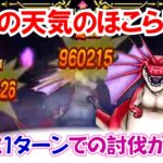 【ドラクエウォーク】#1431・最新の天気のほこら・アルゴングレートを１ターンで討伐する方法をご紹介☆かかっても２ターン安定して討伐が可能♪「ふぉーくちゃんねる」