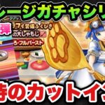【ドラクエウォーク】このカットインはある！？マイレージガチャシリーズ第163弾！