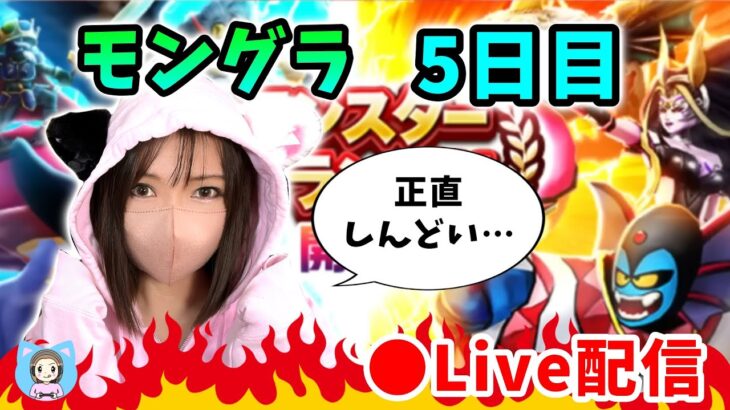 【ドラクエウォーク配信】メンタルが死にそうだ…1900まで叩き落されて浮上中です…【ひなさんゲ。】