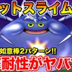 【ドラクエウォーク】コメットスライム実装!! 神大剣と如意棒の2パターンで攻略します!!【DQW】