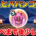 【ドラクエウォーク】3連休最終日!! 鍵とヒババンゴを周回しながら次回イベントを予想!!【DQW】