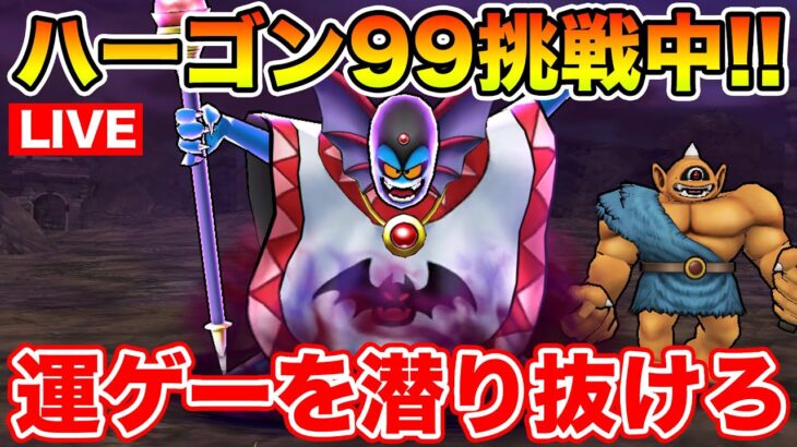 【ドラクエウォーク】数多の運要素を突破せよ!! ハーゴン99地図に挑戦し続けるぞ!!【DQW】