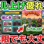 【久々の顔出し】【ドラクエウォーク】レベル上げやドラクエウォークに疲れそうな方へ！最低限やるべきことだけでも強くなれるので解説します！【DQウォーク】