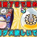 【ドラクエウォーク】ドラクエウォーク色々雑談配信！千里終わりまで集める！天刃ダメ欲しいです！【DQW】