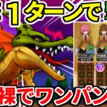 【ドラクエウォーク】根絶やしの竜 ワンパン 攻略 弱点【ドラゴンクエストウォーク】【DQW】【DQウォーク】【初心者】【神喰らいの大剣】