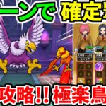 ドラクエウォーク【最終攻略】ごくらくちょうのほこら【ドラゴンクエストウォーク】【DQW】【DQウォーク】【極楽鳥】【弱点】【祠】【初心者】【神喰らいの大剣】