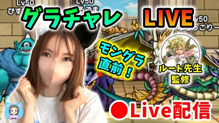 【ドラクエウォーク配信】モングラ直前のグラチャレLIVE！前半はルートさんと対談しながらやります！【ひなさんゲ。】
