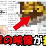 【ドラクエウォーク】衝撃の映像がSNSで拡散されてしまう…ガチギレ勇者も多数で大量のDMが俺に届くｗｗｗ