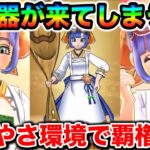 【ドラクエウォーク】神武器きただろコレ！ジェムが一生貯められないゲームです。肉球印の大しゃもじ