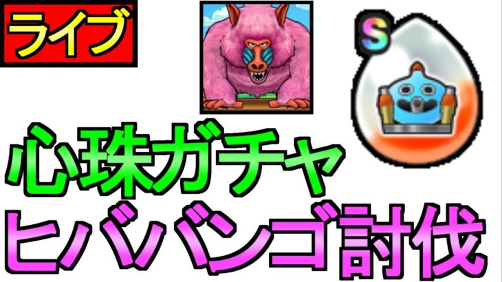 【ドラクエウォーク】セラフィの心珠ガチャ ヒババンゴに挑戦 周回 雑談【攻略】