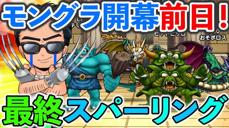 【ドラクエウォーク】モングラ開幕前日最終スパーやるぞやるぞやるぞやるぞやるぞぉおおおおおお！！！