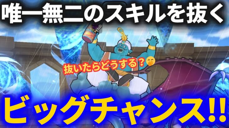 【ドラクエウォーク】唯一無二のスキルを手に入れる機会が訪れました！！【どうするどうするど、お、する？きみならどうする〜！？】【やかんのまじん】