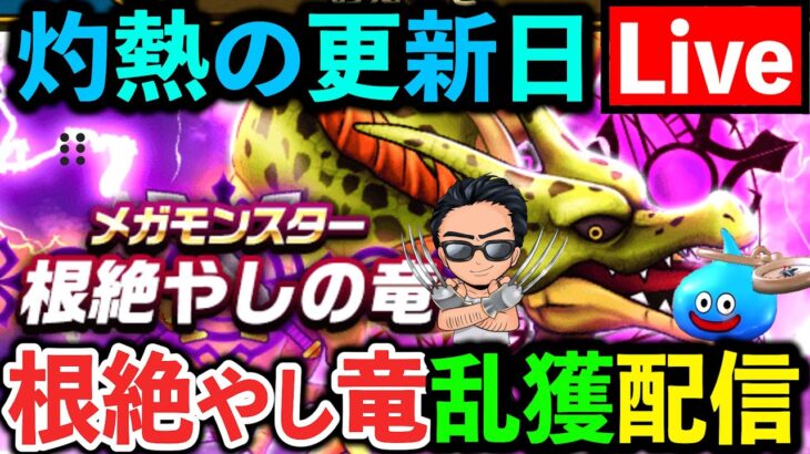 【ドラクエウォーク】根絶やしの竜を名前通り根絶やしにしてあげる配信