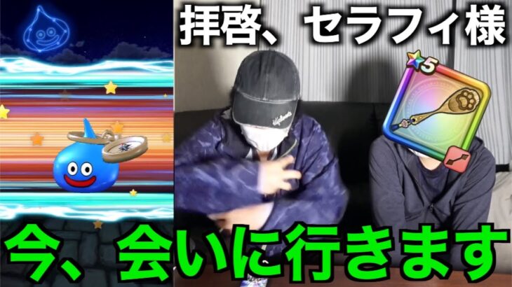 肉球印の大しゃもじが欲しくて有償ジェムにてセラフィを召喚しようとした結果【ドラクエウォーク】【ドラゴンクエストウォーク】