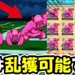 【ドラクエウォーク】ヒババンゴを乱獲出来る狩り方法が強すぎた・・！これガチで真似してみて！