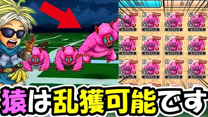 【ドラクエウォーク】ヒババンゴを乱獲出来る狩り方法が強すぎた・・！これガチで真似してみて！