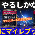 【ドラクエウォーク】こいつにブッパするしかない！！あの神武器、ゲットできるか！？【肉球しゃもじ】【セラフィ】【白き英雄の旗槍】【ガチャ】