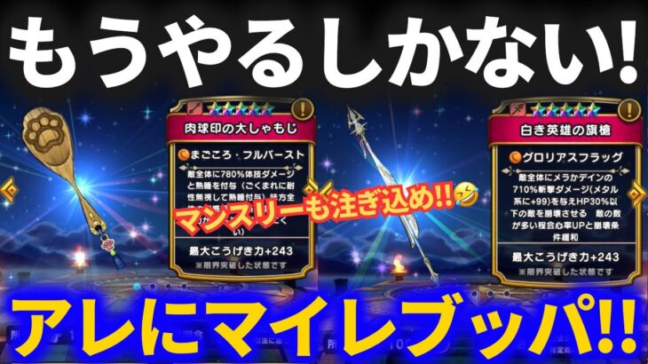 【ドラクエウォーク】こいつにブッパするしかない！！あの神武器、ゲットできるか！？【肉球しゃもじ】【セラフィ】【白き英雄の旗槍】【ガチャ】