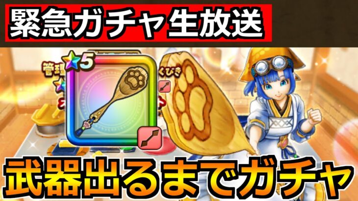 【ドラクエウォーク】肉球印の大しゃもじを引くまで管理人セラフィ装備ガチャ!今日も神引きを!