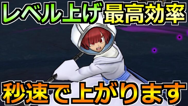 【ドラクエウォーク】レベル上げ最高効率を叩く最新構成！これ組めればガチで早いです！