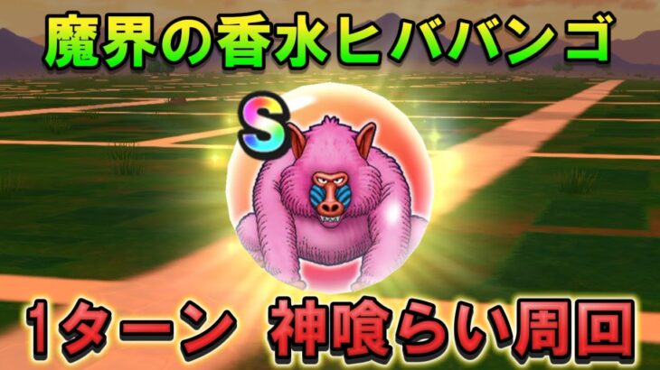 【ドラクエウォーク】魔界の香水vol2ヒババンゴを神喰らいの大剣で１ターン周回