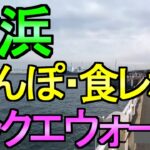 【ドラクエウォーク】横浜でドラクエウォーク 食レポ 雑談とDQウォークの話【ガチャ】【初心者】【攻略】【DQW】