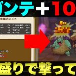 【ドラクエウォーク】覚醒バズズでバフ盛りメガンテ撃ってきた。