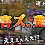1枚生存から神プレーで老害ズ震撼させてきた【荒野行動】