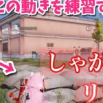 【荒野行動】猛者が絶対に使うプロ級テクニック！『しゃがみリーン』をマスター！