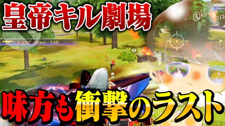【無双】1人で29キル神プレイしたら味方が発狂したww【荒野行動】